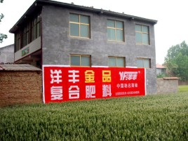 界首如何让墙体广告展现最大化效果