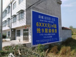 界首墙体广告质量分析