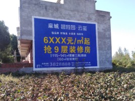 界首品牌公司青睐的墙体广告
