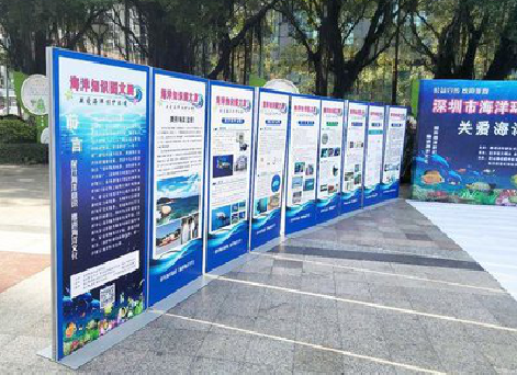 界首KT板的种类和知识。